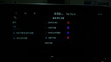 더뉴그랜저 순정엠비언트와 4 도어스팟로고램프 장착<순정품>