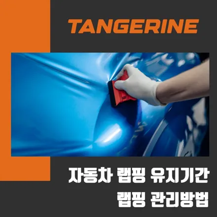 자동차 랩핑 유지기간 및 랩핑 관리 방법 / 서울 양천구 목동