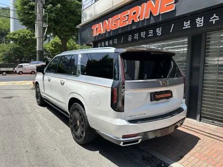 서울ppf 유튜버 야생마님 캐딜락 에스컬레이드 롱바디 울트라핏컬러ppf 전체시공기 / 서울 양천구, 강서구, 목동