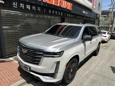 서울ppf 유튜버 야생마님 캐딜락 에스컬레이드 롱바디 울트라핏컬러ppf 전체시공기 / 서울 양천구, 강서구, 목동