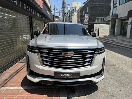 서울ppf 유튜버 야생마님 캐딜락 에스컬레이드 롱바디 울트라핏컬러ppf 전체시공기 / 서울 양천구, 강서구, 목동