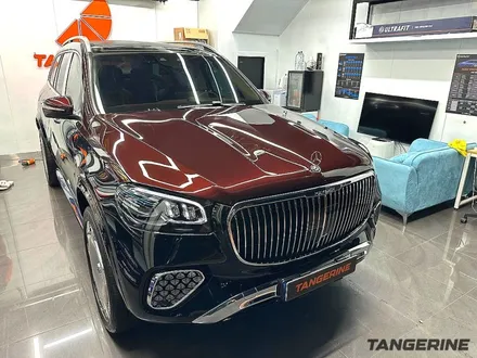 목동PPF 마이바흐 GLS600 PPF 정답은 탠저린 / 서울 양천구 목동