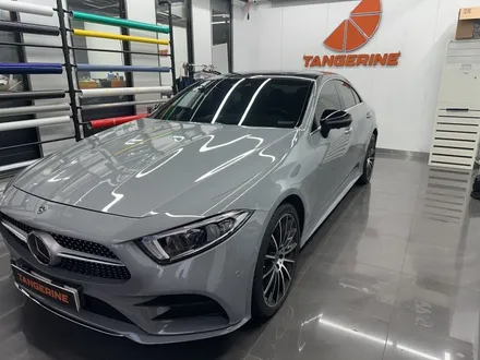 서울 벤츠 CLS 450 컬러PPF로 클래식 그레이 랩핑 단점 뛰어넘다 / 서울 양천구 목동