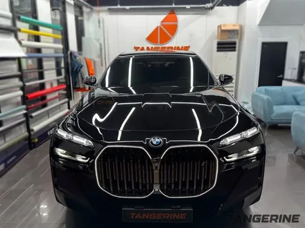 BMW 7시리즈 랩핑 보다 컬러PPF 선택한 이유 / 서울 양천구 목동