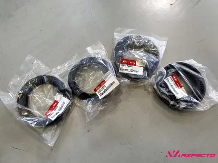 캠핑 카니발 필수아이템 빅풋 후륜업스프링 일산 아즈펙토 / 고양 일산동구