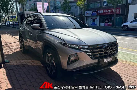 울산자동차보호필름 신형투싼 생활보호PPF / 울산 남구