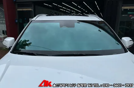 레이노썬팅필름 크로마9 이용한 팰리세이드 썬팅 / 울산 남구