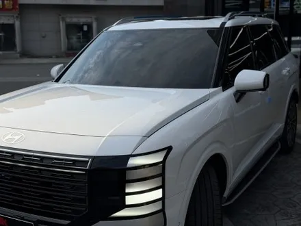 울산 크롬죽이기 신차패키지할때 쓱, 팰리세이드 LX3 / 울산 남구