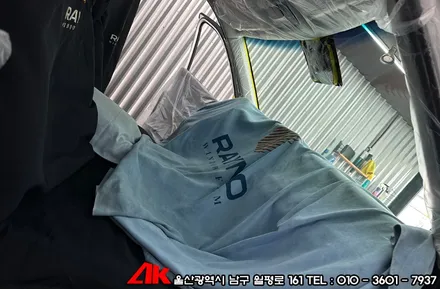 레이노썬팅필름 크로마9 이용한 팰리세이드 썬팅 / 울산 남구