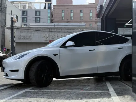 울산 테슬라 썬팅 모델Y 테라룩스IR 흑백요리샷 비교 / 울산 남구