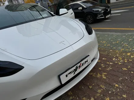 울산 테슬라 썬팅 PPF를 진하게 곁들인 모델 Y 어떤데! / 울산 남구