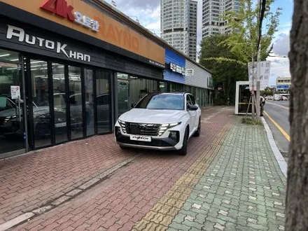 울산 틴팅 신차패키지 흔한 거 말고 진짜 멋있는 거 / 울산 남구