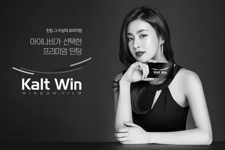 디스커버리3 아이나비 칼트윈 RX 50%전면 틴팅 / 용인 공세동