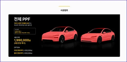 동탄 분당 수지 테슬라 모델Y 모델3 PPF, 벡티온 쉴드로 도장면 보호 / 용인 공세동