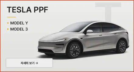 동탄 분당 수지 테슬라 모델Y 모델3 PPF, 벡티온 쉴드로 도장면 보호 / 용인 공세동