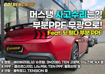 머스탱 무광ppf 사고수리로 뒷 휀다 부분ppf 시공기 / 서울 강서구 공항동