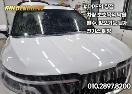 기아 ka4 카니발 아이들과 캠핑가기 좋게 루프박스, gsc사이드스텝 튜닝 했어요. / 서울 강서구 공항동