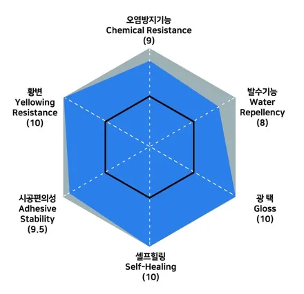 광명 프리미엄 PPF 벤츠 E450 전체시공의 퀄리티는? / 광명시 일직동