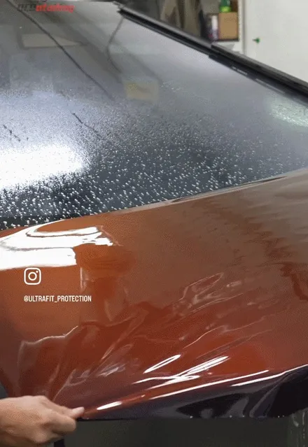 BMW XM PPF, 출고했다면 베이스 먼저 오세요 / 광명시 일직동