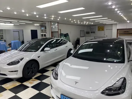 테슬라 모델3 후퍼옵틱 클래식 썬팅 2대 시공사진