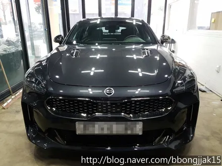 스팅어 카멜레온 썬팅 으로 개성을 더하다 / 전면 CR30% 측후면 S515% 포항 경주 / 포항, 경주