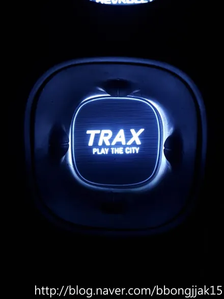 트렉스 도어컵 및 도어내캐치 LED 로 실내를 밝히다 / 포항 순정옵션 썬팅 신차검수 / 포항, 경주