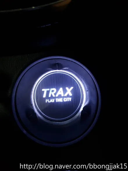 트렉스 도어컵 및 도어내캐치 LED 로 실내를 밝히다 / 포항 순정옵션 썬팅 신차검수 / 포항, 경주