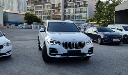 BMW X5 썬팅과 생활보호PPF / 인천, 부평, 부천
