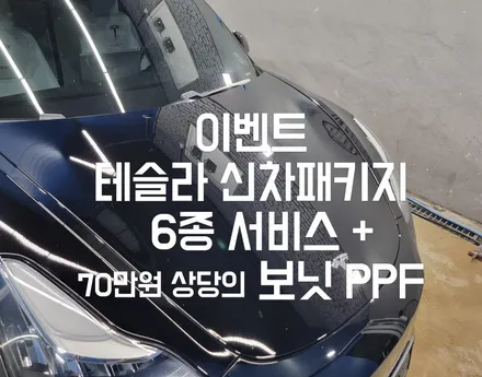 [인천 테슬라 신차패키지]볼텍스IR, 본넷PPF, 유리막(Feat. 야외모습) / 인천 중구