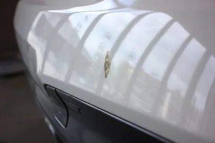 [BMW X3] 인천광택 보험처리 새차로 태어나다 / 인천, 부평, 부천