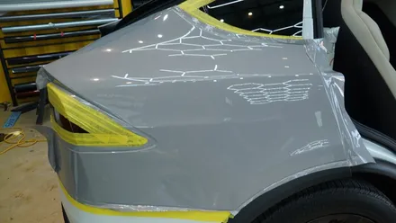 일산파주랩핑 모델X 카니발 그레이 색으로 다시 태어나다 / 고양시 덕이동