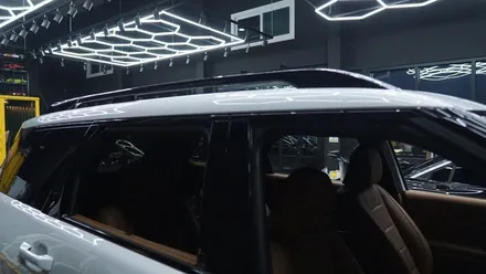 일산 크롬죽이기 팰리세이드 스타일을 위한 선택 / 고양시 덕이동
