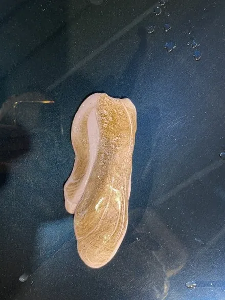 Q70 광택 / 부천 상이로