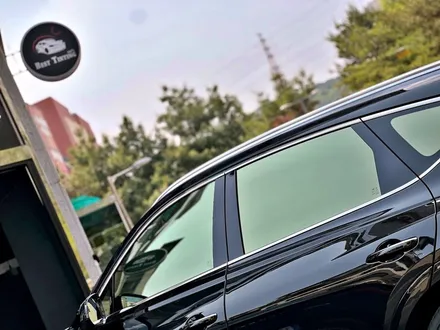 블락포디 샴페인골드, 황금빛 고급감 업업 / 시흥, 안산, 안양, 광명