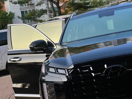 팰리세이드 패밀리카의 정석  골드빛 썬팅의 정석 / 시흥, 안산, 안양, 광명