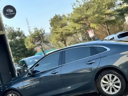 목감 썬팅 추천 말리부 뒷유리기포 케어 / 시흥, 안산, 안양, 광명
