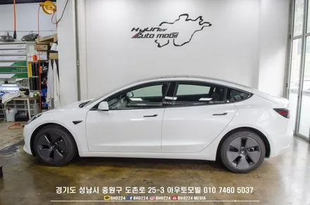 성남 테슬라썬팅 모델3 레이노필름 s9 시공하기 / 성남,분당,판교