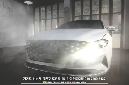 현 / 성남,분당,판교