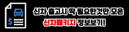 투싼신차패키지. NX4 투싼 하이브리드 N라인 하버캠프 신차패키지 / 화성, 동탄, 수원, 오산