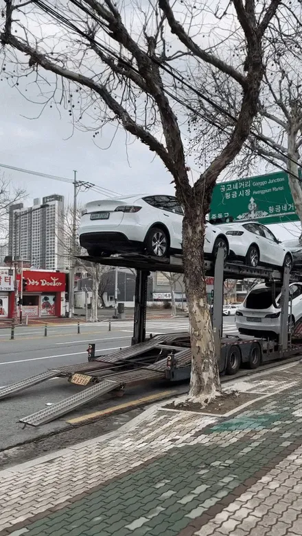 테슬라 모델Y 신차패키지 시공과 틴팅, 그리고 예약 혜택에 관한 이야기 - 대구 카인사이드