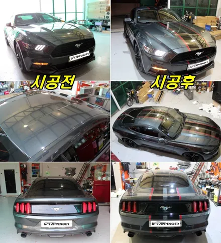 포드 머스탱 바이퍼 전체데칼 시공 / 양주시 덕정동