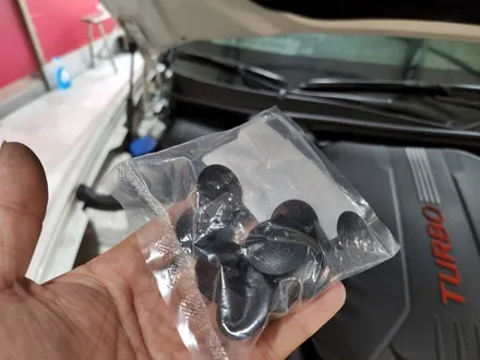 스팅어 크롬대신 카본포인트? / 양주시 덕정동