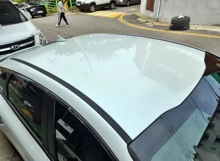 루프스킨 시공과 수명에 의한 제거와 재시공 / 양주시 덕정동