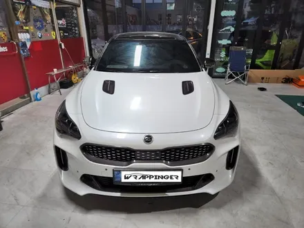 스팅어 크롬대신 카본포인트? / 양주시 덕정동