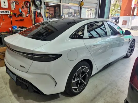 BYD SEAL 씰 프론트 리어 포인트 랩핑 / 양주시 덕정동