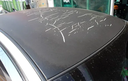 르노삼성 sm5 루프스킨시공으로 깨끗한 바디라인 만들기 / 양주시 덕정동