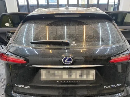 [렉서스 NX300h] 수원 광교 카페거리 세차 / 수원 영통구 이의동
