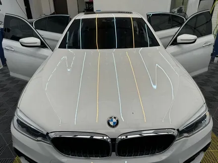 [BMW 520d] 광교 카페거리 디테일링 / 수원 영통구 이의동
