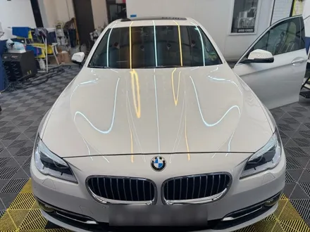 [BMW 520d] 수원 광교 석회물 제거 / 수원 영통구 이의동