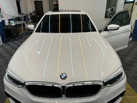 [BMW 520d] 광교 카페거리 디테일링 / 수원 영통구 이의동